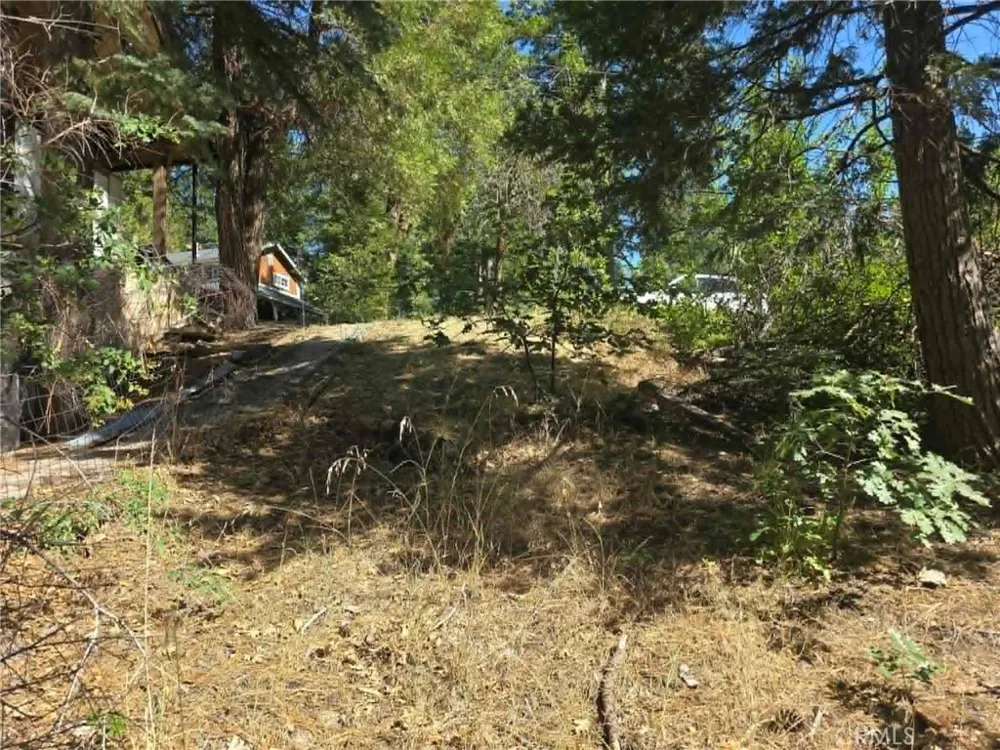 30778 Live Oak Running Springs, CA 92382