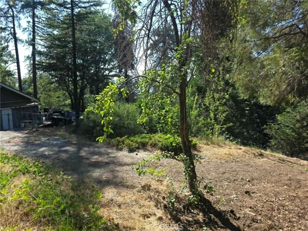 30778 Live Oak Running Springs, CA 92382