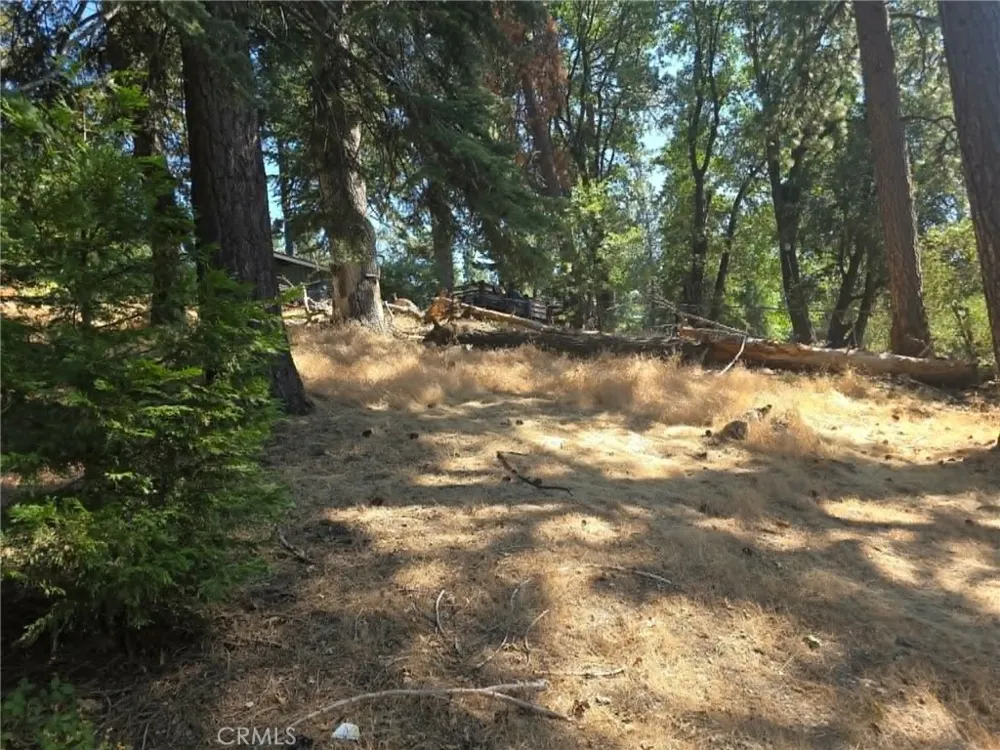 30778 Live Oak Running Springs, CA 92382