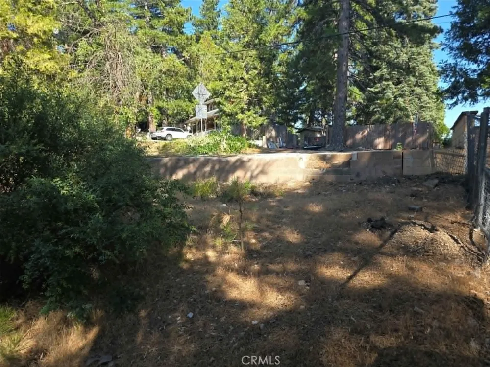 30778 Live Oak Running Springs, CA 92382