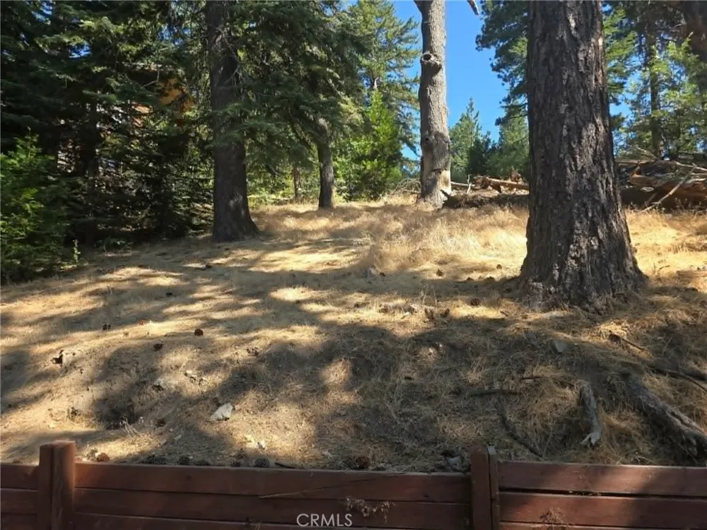 30778 Live Oak Running Springs, CA 92382