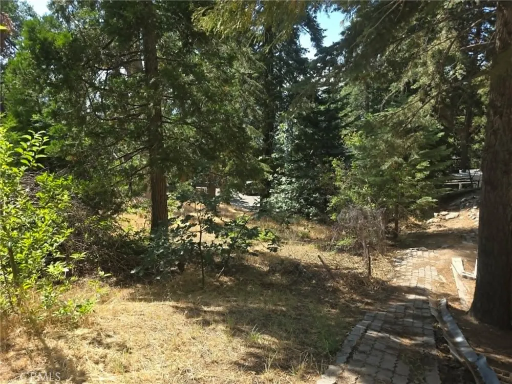 30778 Live Oak Running Springs, CA 92382
