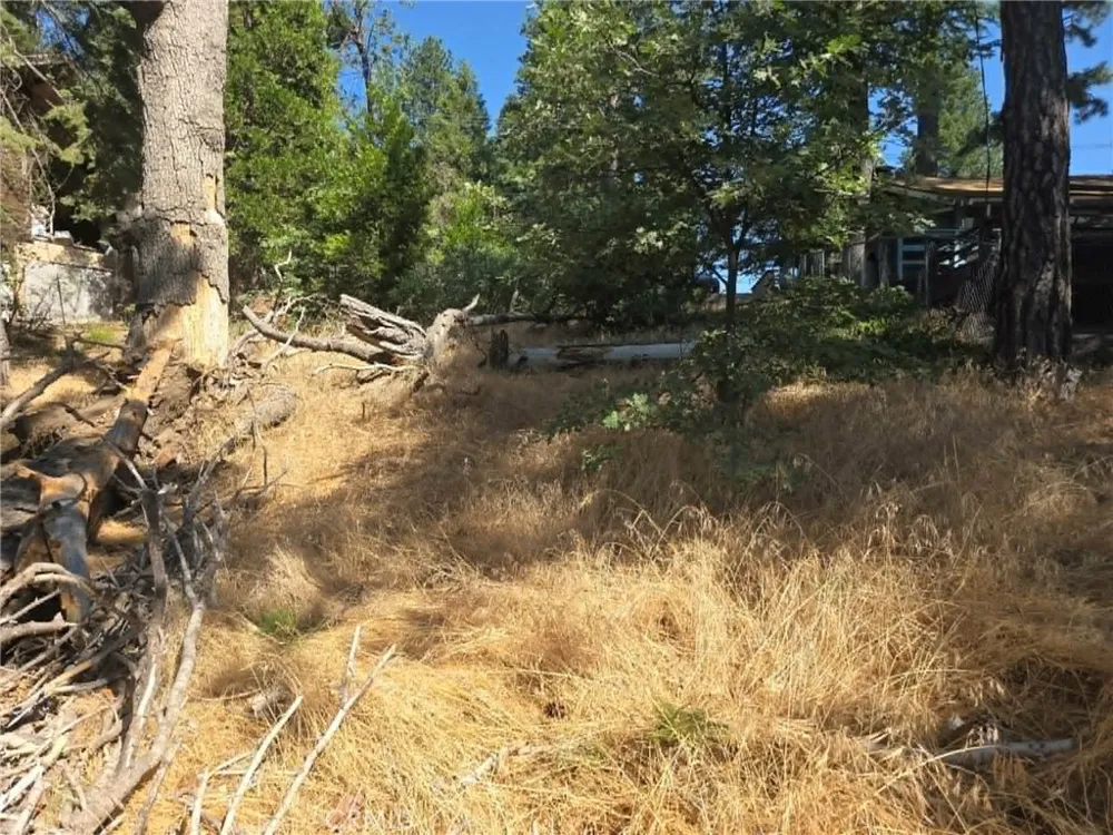 30778 Live Oak Running Springs, CA 92382