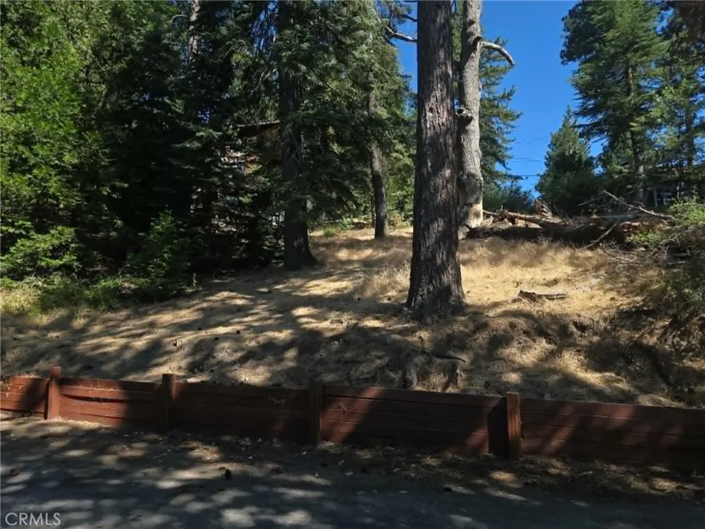 30778 Live Oak Running Springs, CA 92382