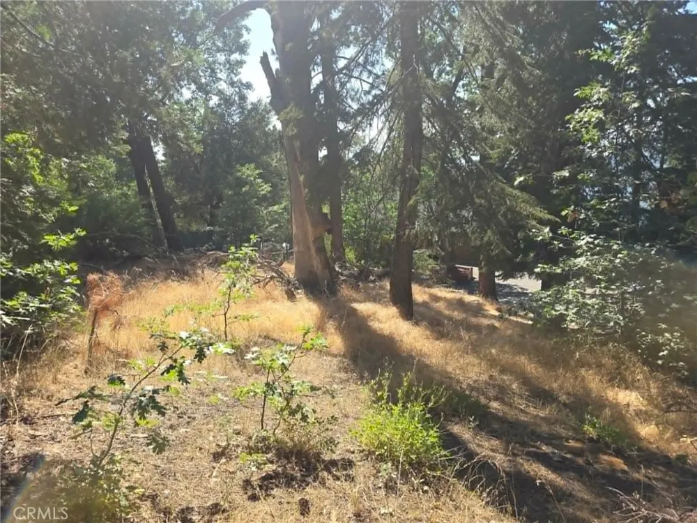 30778 Live Oak Running Springs, CA 92382