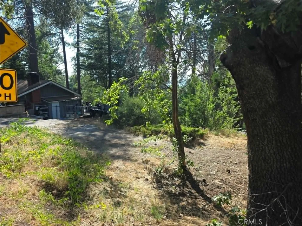 30778 Live Oak Running Springs, CA 92382