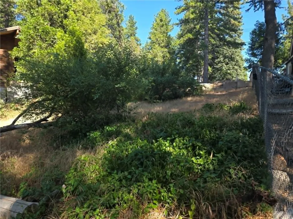 30778 Live Oak Running Springs, CA 92382