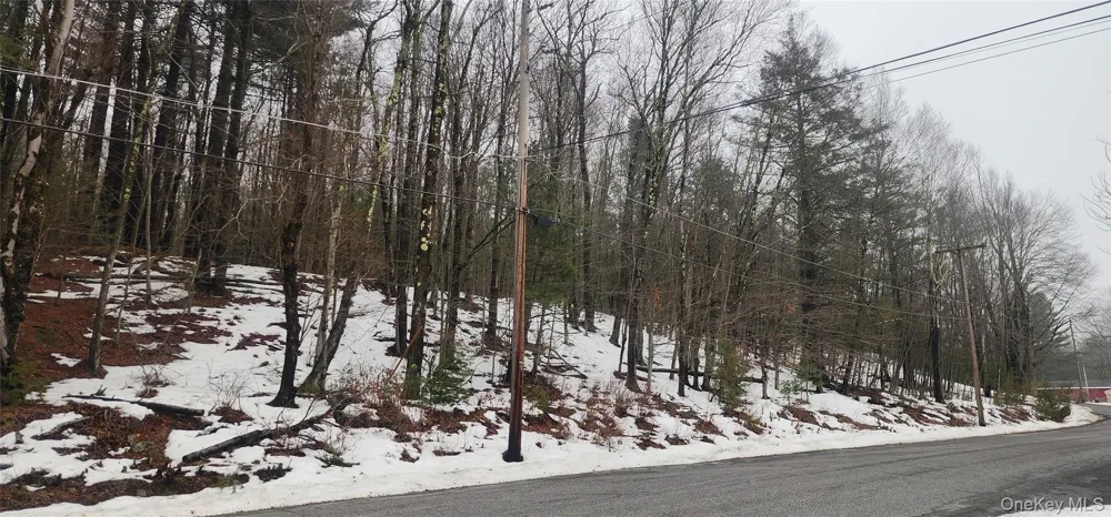 Hamilton Road Monticello, NY 12701