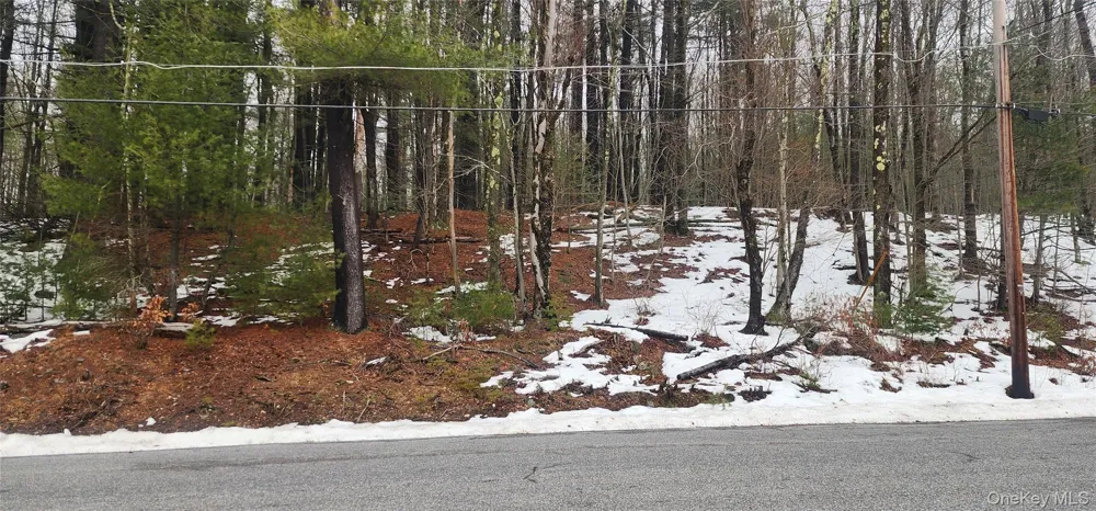 Hamilton Road Monticello, NY 12701