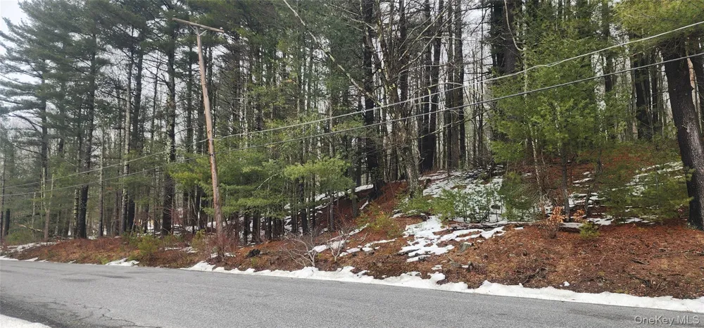 Hamilton Road Monticello, NY 12701