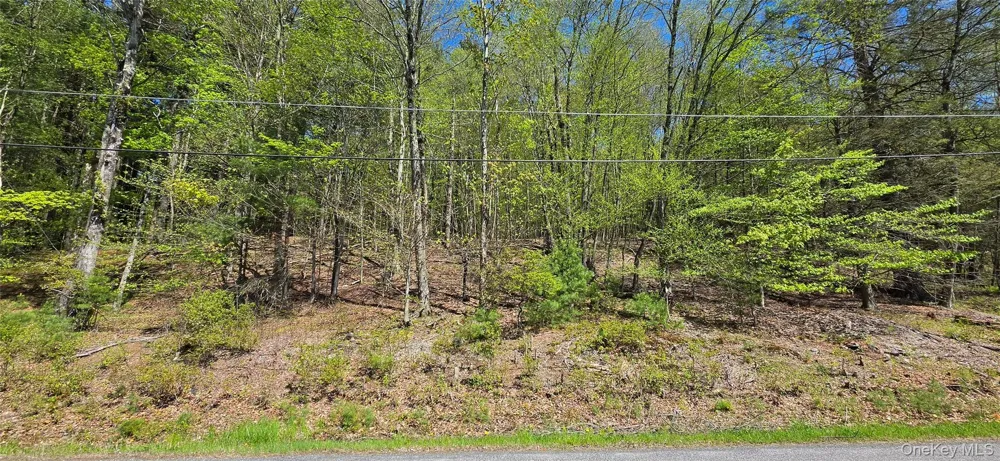 Hamilton Road Monticello, NY 12701