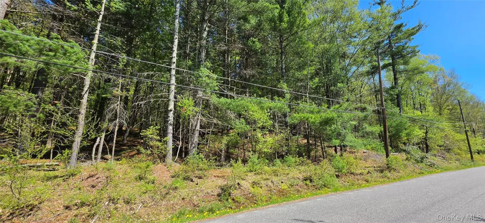 Hamilton Road Monticello, NY 12701