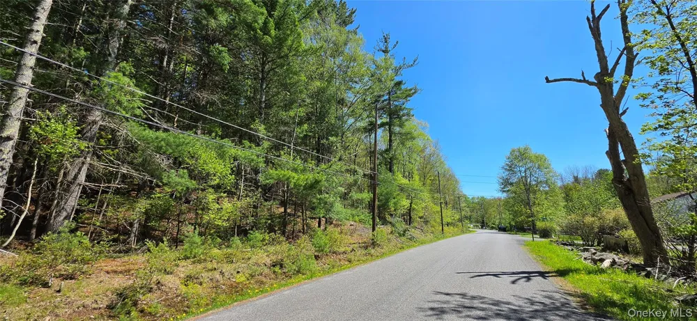 Hamilton Road Monticello, NY 12701