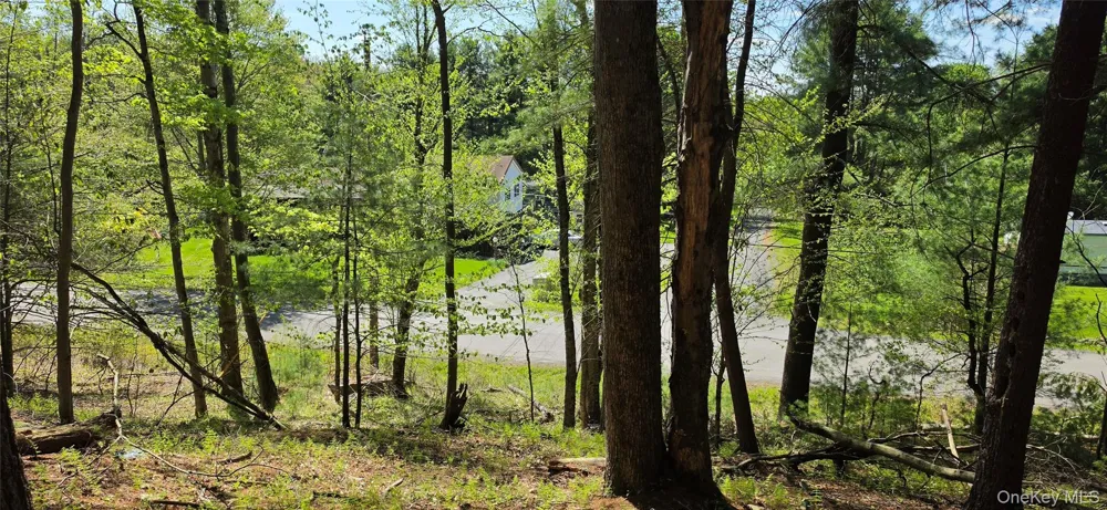 Hamilton Road Monticello, NY 12701