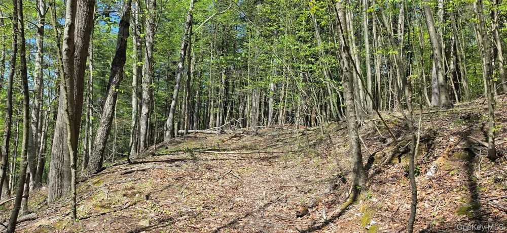 Hamilton Road Monticello, NY 12701
