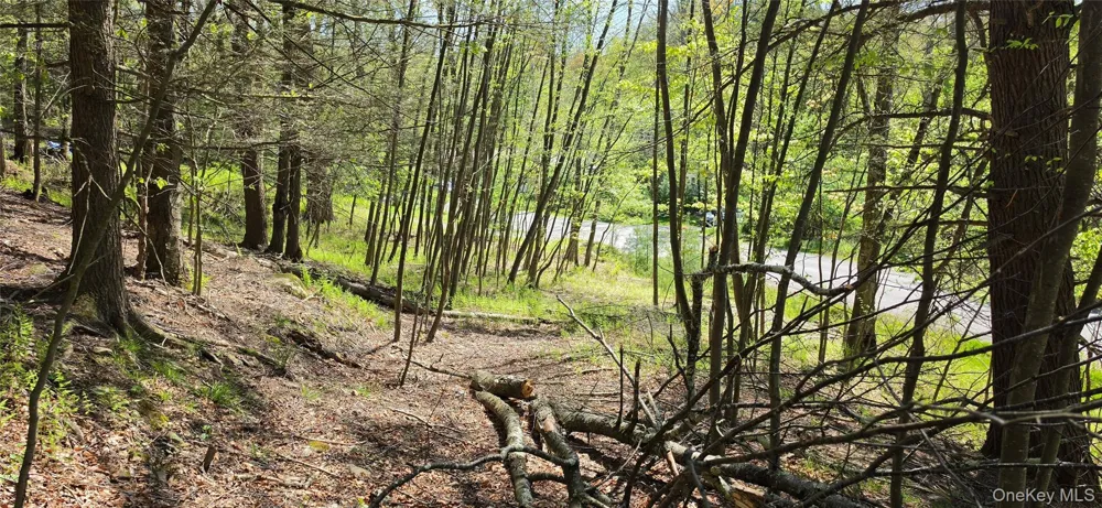 Hamilton Road Monticello, NY 12701