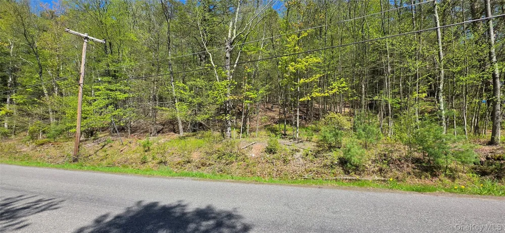 Hamilton Road Monticello, NY 12701