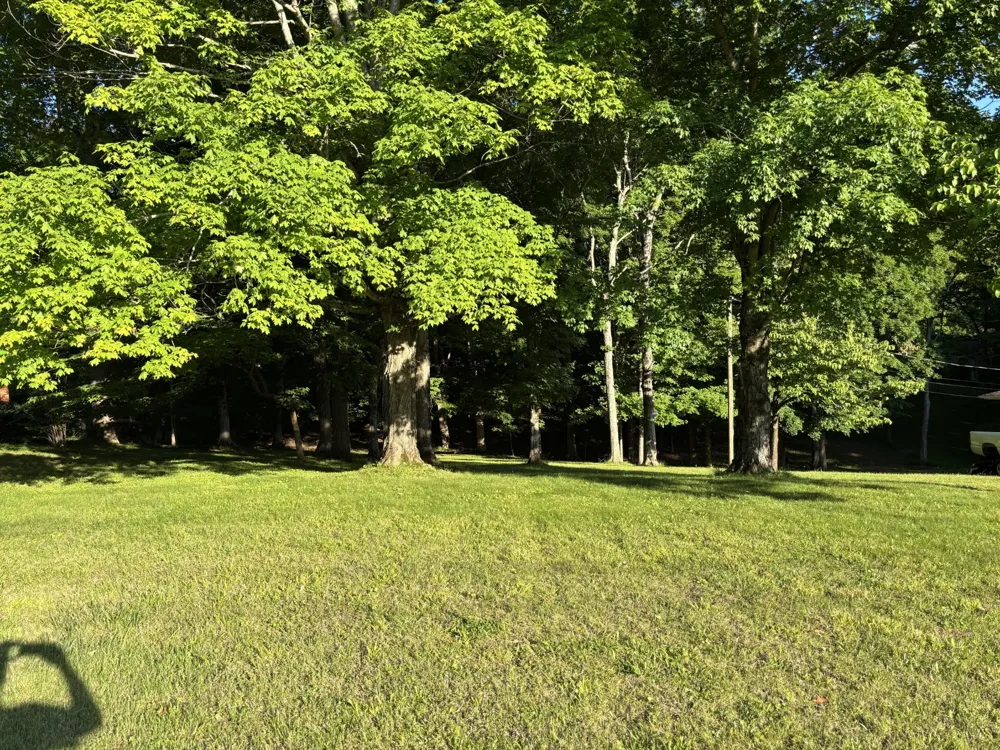 17 Edmondson Ferry Road Clarksville, TN 37040