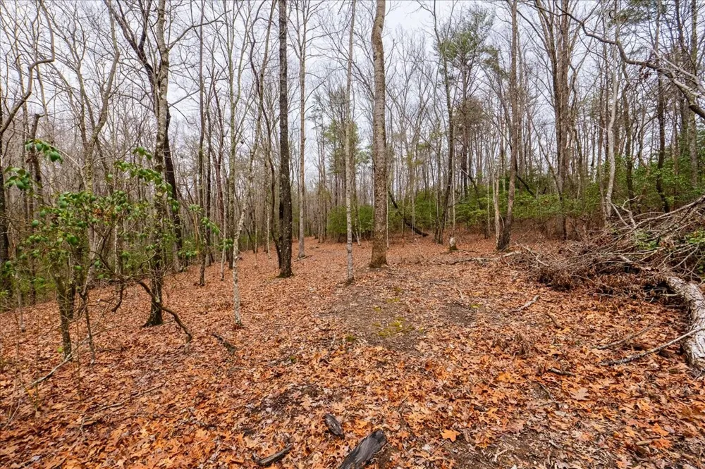 0 Timberwood Trce Monteagle, TN 37356