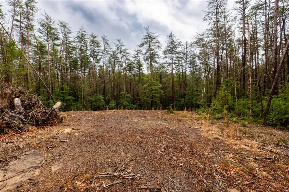 0 Timberwood Trce Monteagle, TN 37356