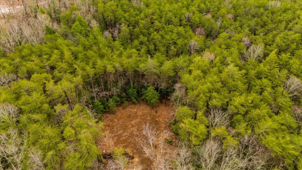 0 Timberwood Trce Monteagle, TN 37356