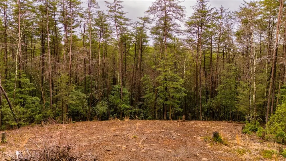 0 Timberwood Trce Monteagle, TN 37356