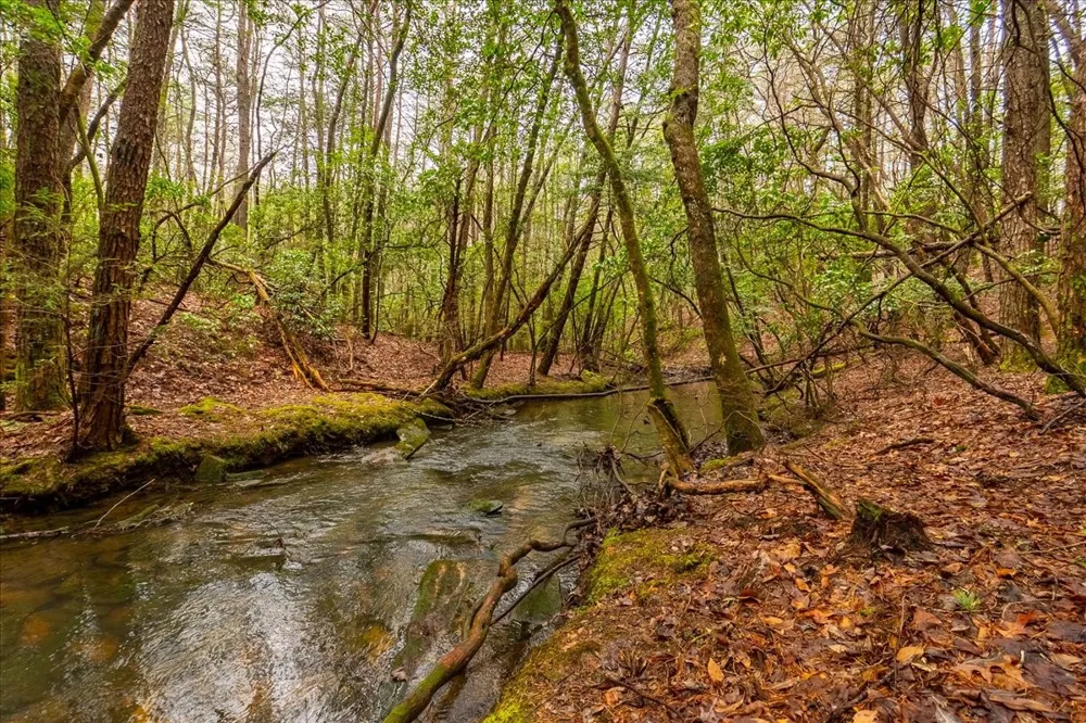 0 Timberwood Trce Monteagle, TN 37356