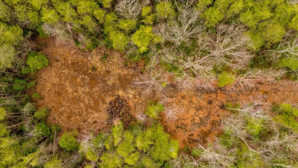 0 Timberwood Trce Monteagle, TN 37356