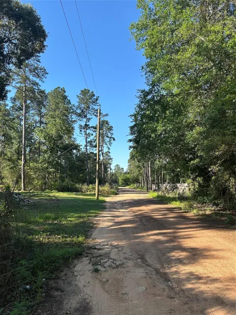 White Oak Drive