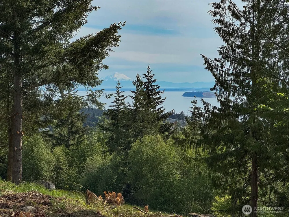 501 Solana Parkway Sequim, WA 98382