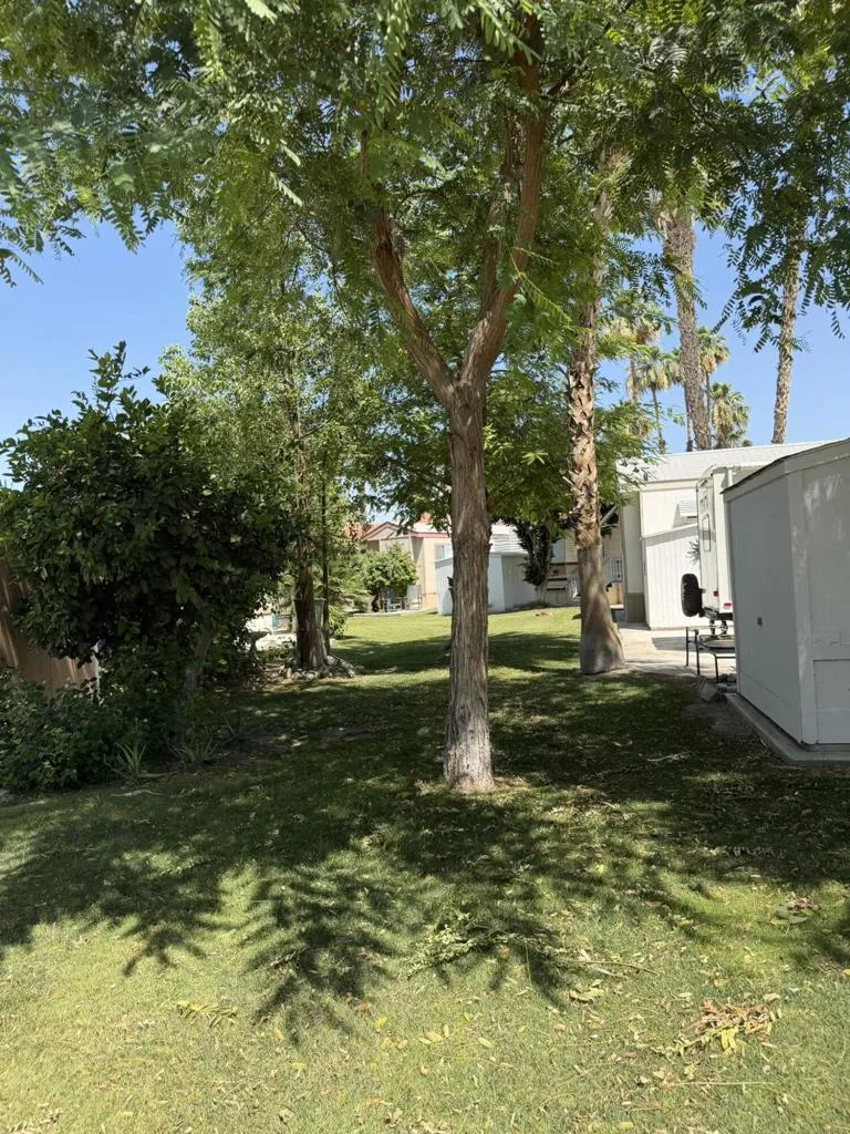 84136 Avenue 44 #181 Indio, CA 92203