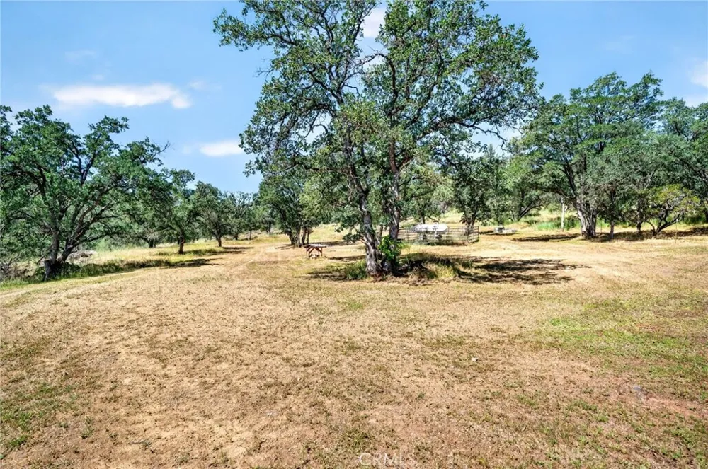13505 Spruce Grove Lower Lake, CA 95457