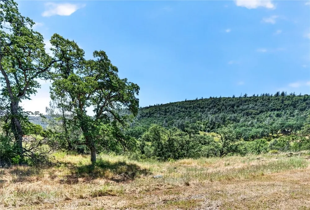 13505 Spruce Grove Lower Lake, CA 95457