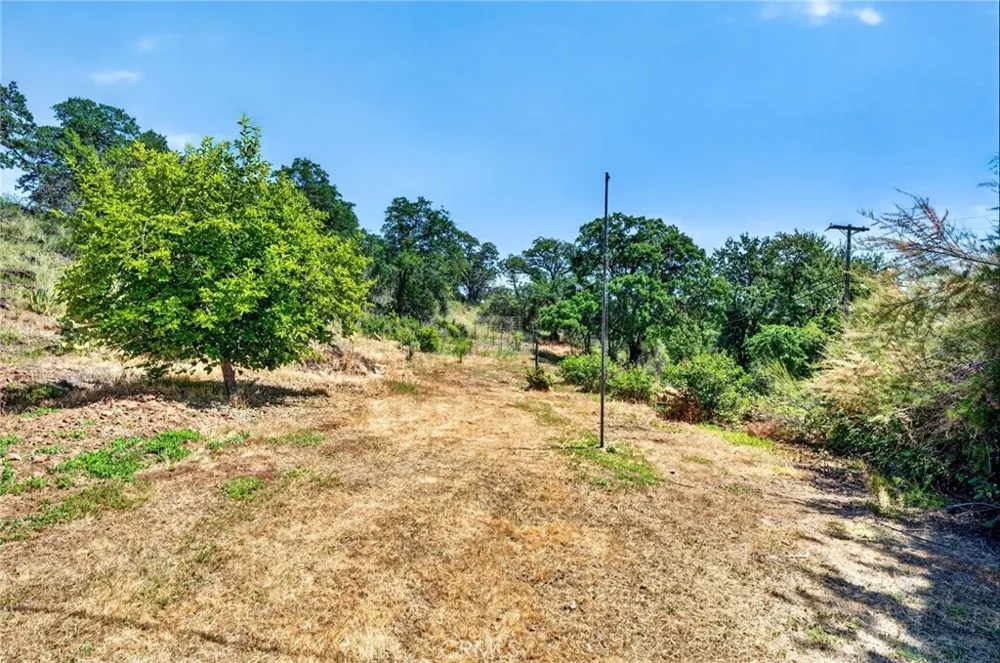 13505 Spruce Grove Lower Lake, CA 95457