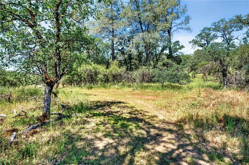 13505 Spruce Grove Lower Lake, CA 95457
