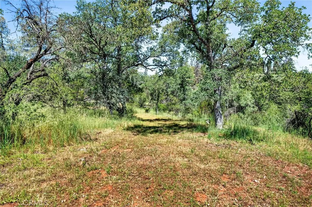 13505 Spruce Grove Lower Lake, CA 95457
