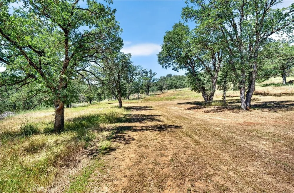 13505 Spruce Grove Lower Lake, CA 95457