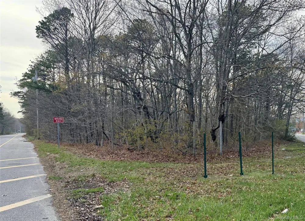 Neighborhood Road Mastic Beach, NY 11950