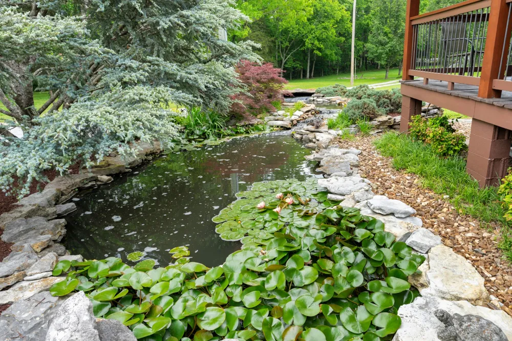 990 Bugscuffle Rd Wartrace, TN 37183