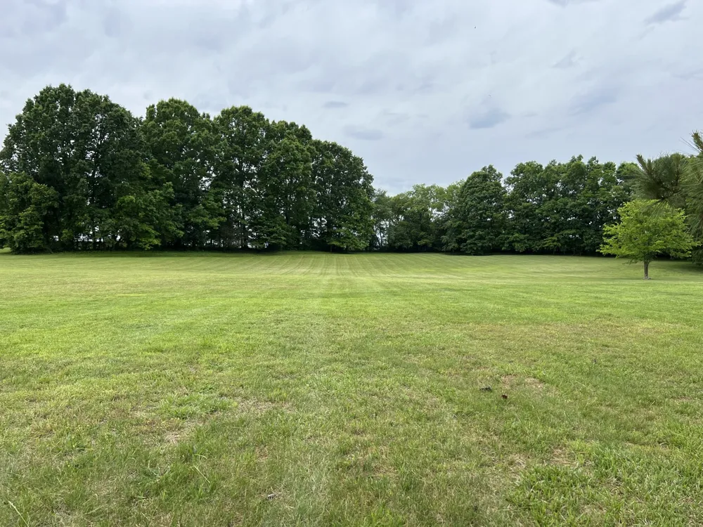 990 Bugscuffle Rd Wartrace, TN 37183