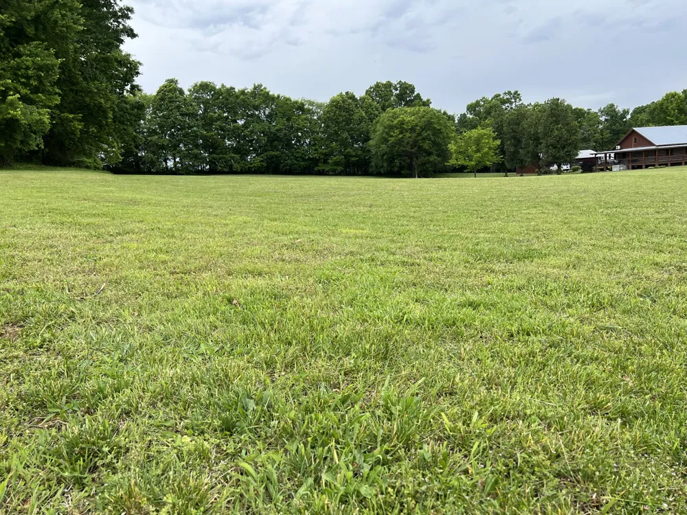 990 Bugscuffle Rd Wartrace, TN 37183