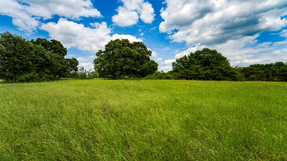 County Road 302 Rockdale, TX 78947