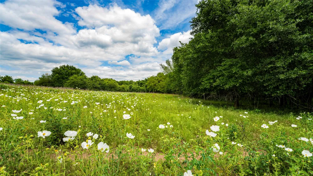 County Road 302 Rockdale, TX 78947