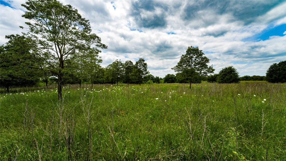 County Road 302 Rockdale, TX 78947