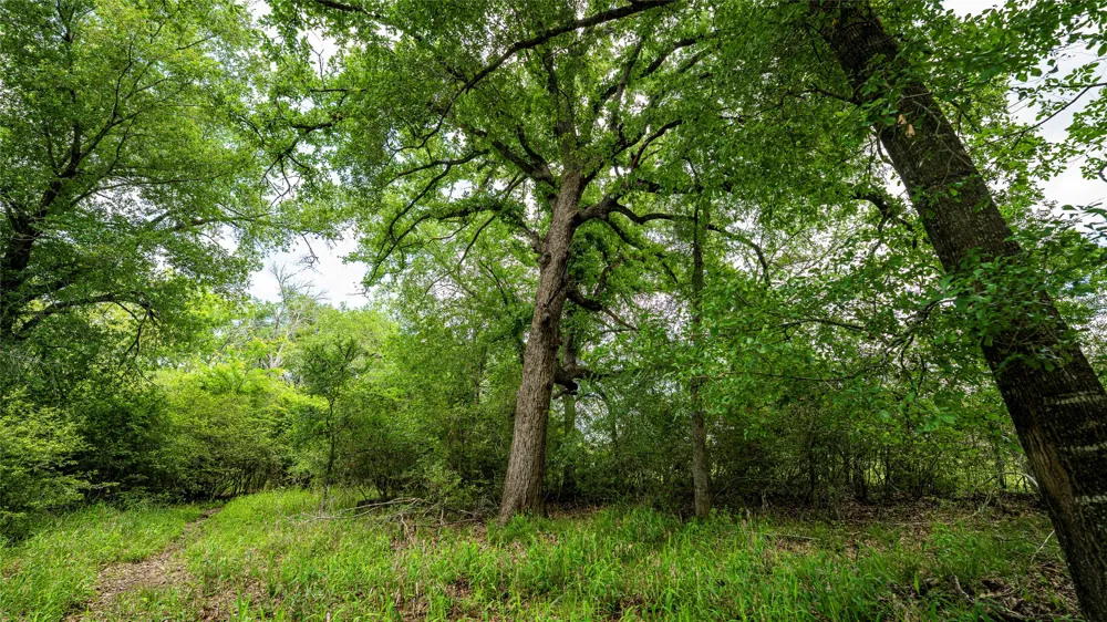 County Road 302 Rockdale, TX 78947