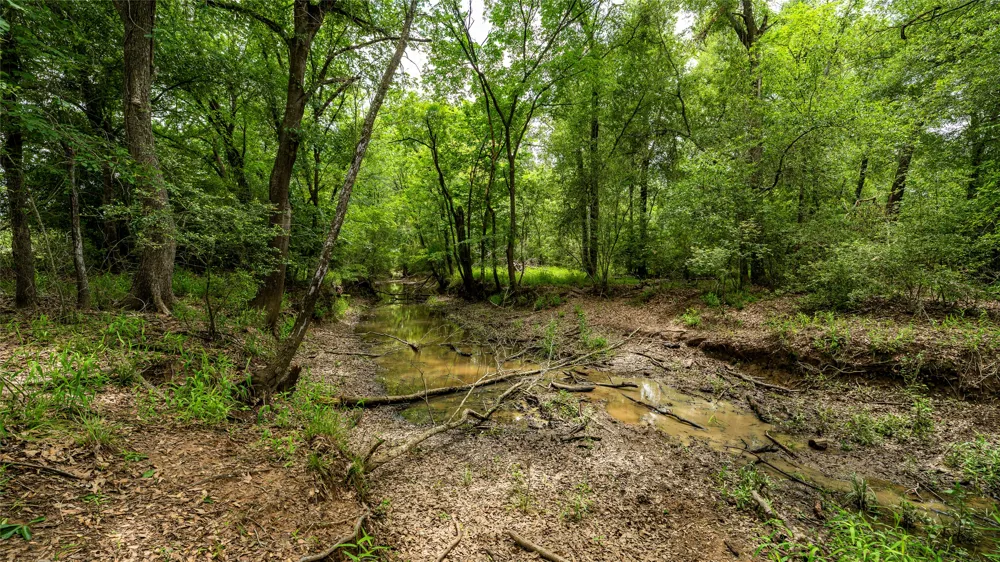 County Road 302 Rockdale, TX 78947