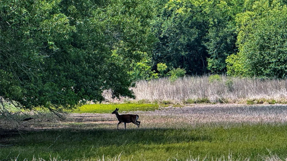 County Road 302 Rockdale, TX 78947