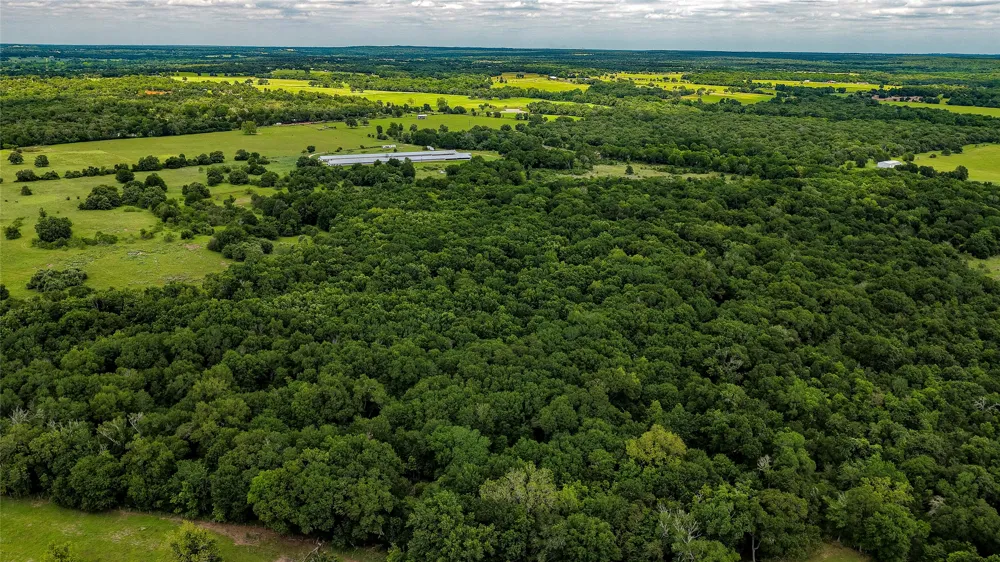 County Road 302 Rockdale, TX 78947