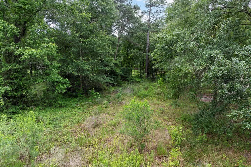 207 Blue Lake Drive Huffman, TX 77336