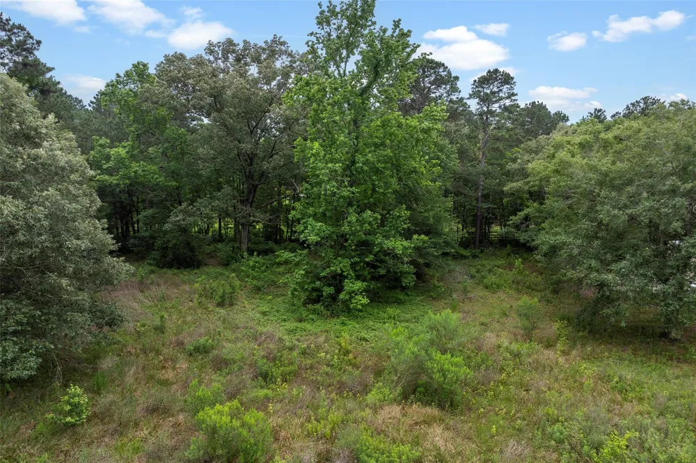 207 Blue Lake Drive Huffman, TX 77336